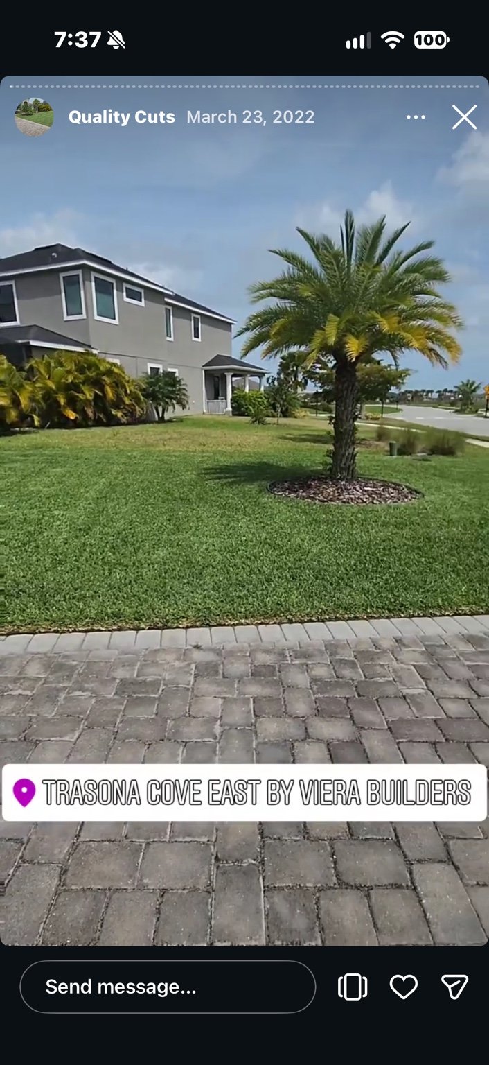 Palm landscape installation